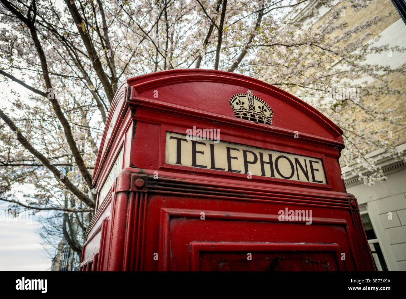 Classica cabina telefonica britannica sotto la fioritura primaverile Foto Stock