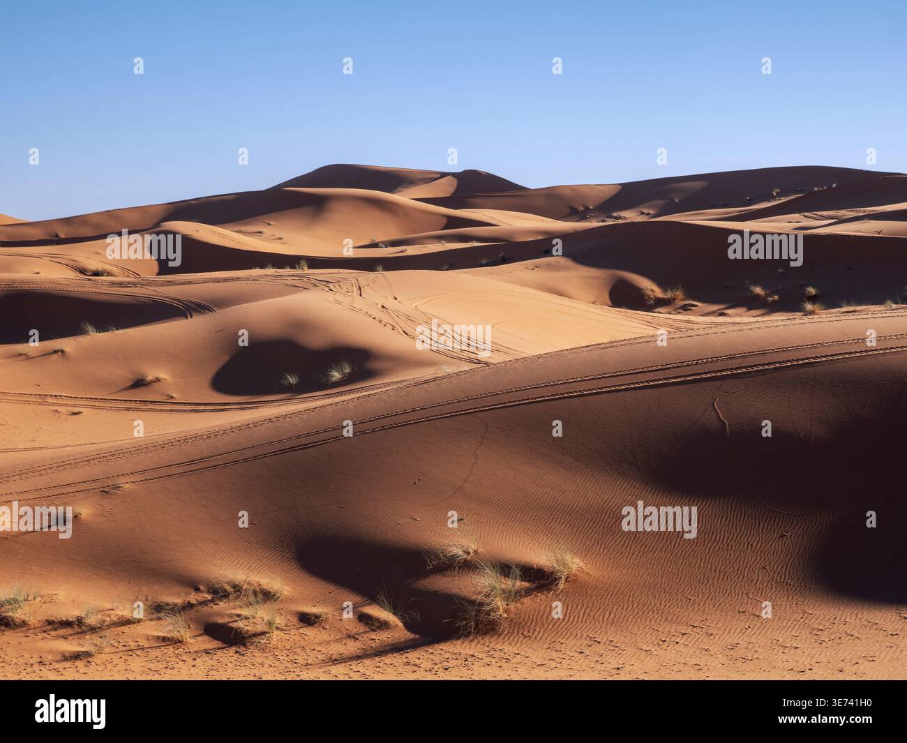 Dune del deserto di Erg Chebbi vicino a Merzouga al tramonto Foto Stock