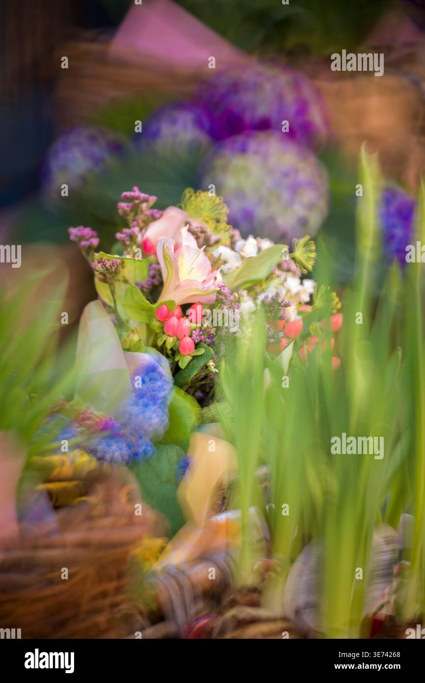Primavera, bouquet di fiori colorati, bokeh Foto Stock