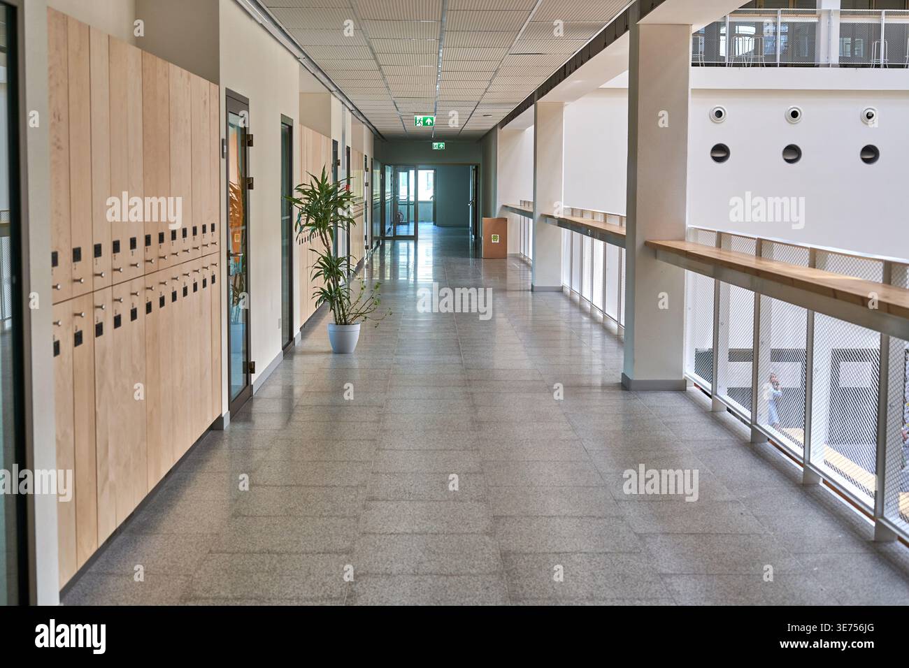 Un corridoio moderno e vuoto in un edificio per uffici o un'istituzione educativa contemporanea. Il lungo corridoio presenta armadietti o ripostigli in legno chiaro Foto Stock