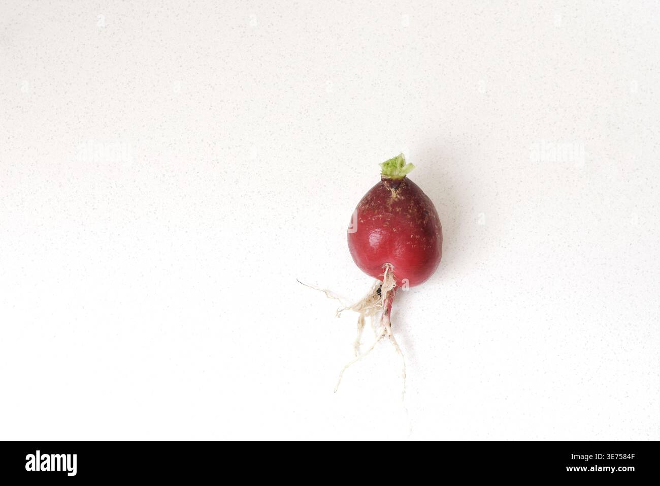 Vista dall'alto dei raggi freschi su un tavolo bianco pulito. Composizione minimalista degli alimenti con illuminazione naturale, ideale per un'alimentazione sana, fresca Foto Stock