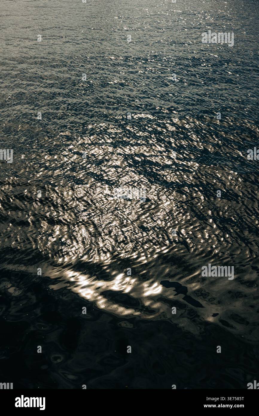 L'acqua ondulata riflette la luce del sole nel tardo pomeriggio in un lago tranquillo nella natura Foto Stock