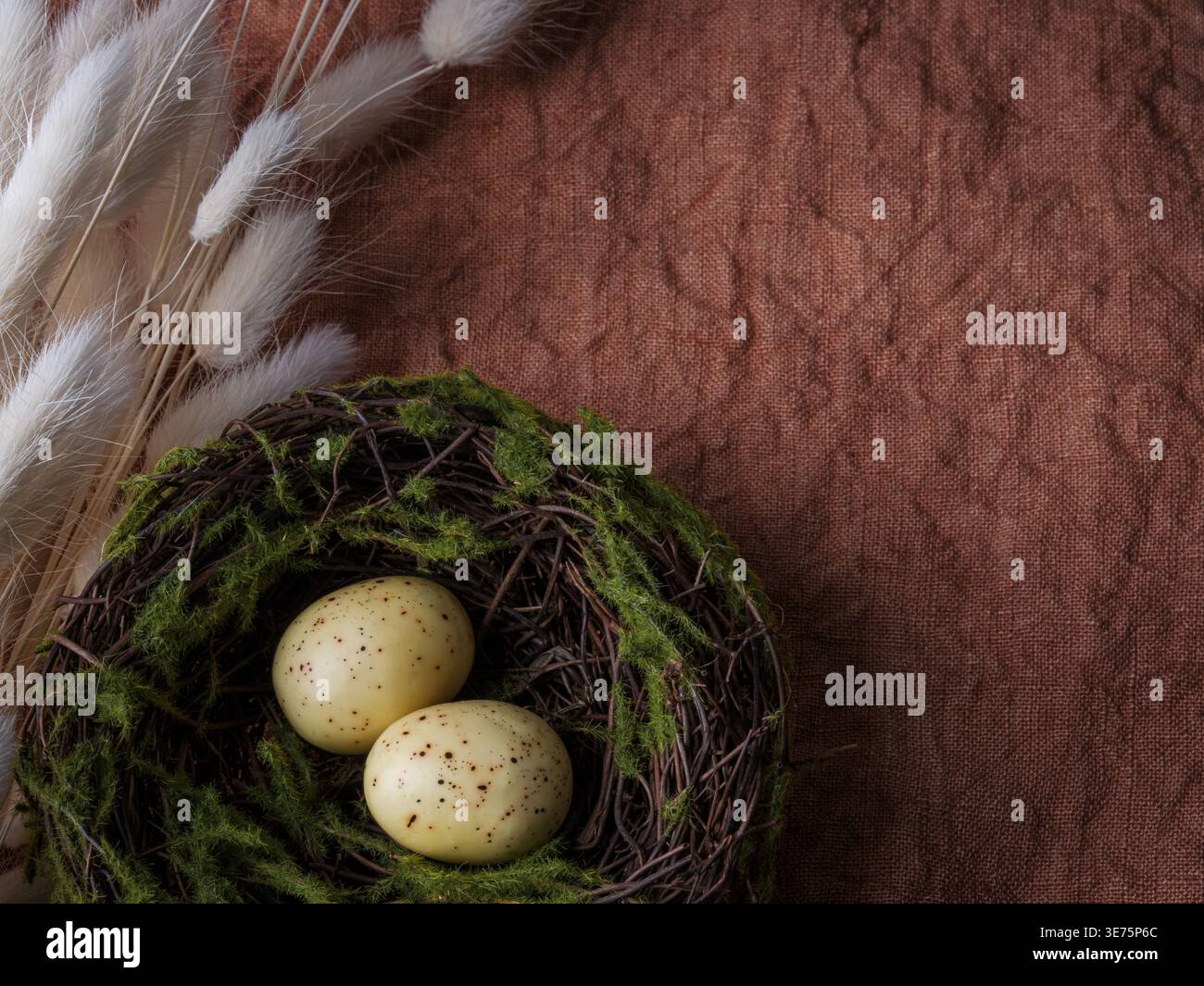 Nido di bastoncino di ramoscello di primavera con piccole uova gialle nel muschio. Pianta bianca naturale della coda di coniglio su fondo rustico in tessuto di lino Foto Stock