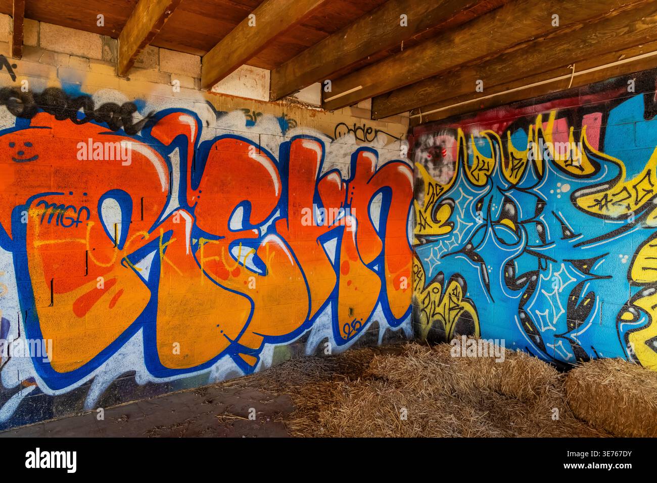 Graffiti a Bombay Beach Estates a Bombay Beach sul Mare di Salton, California, USA [Nessuna versione; solo licenza editoriale] Foto Stock