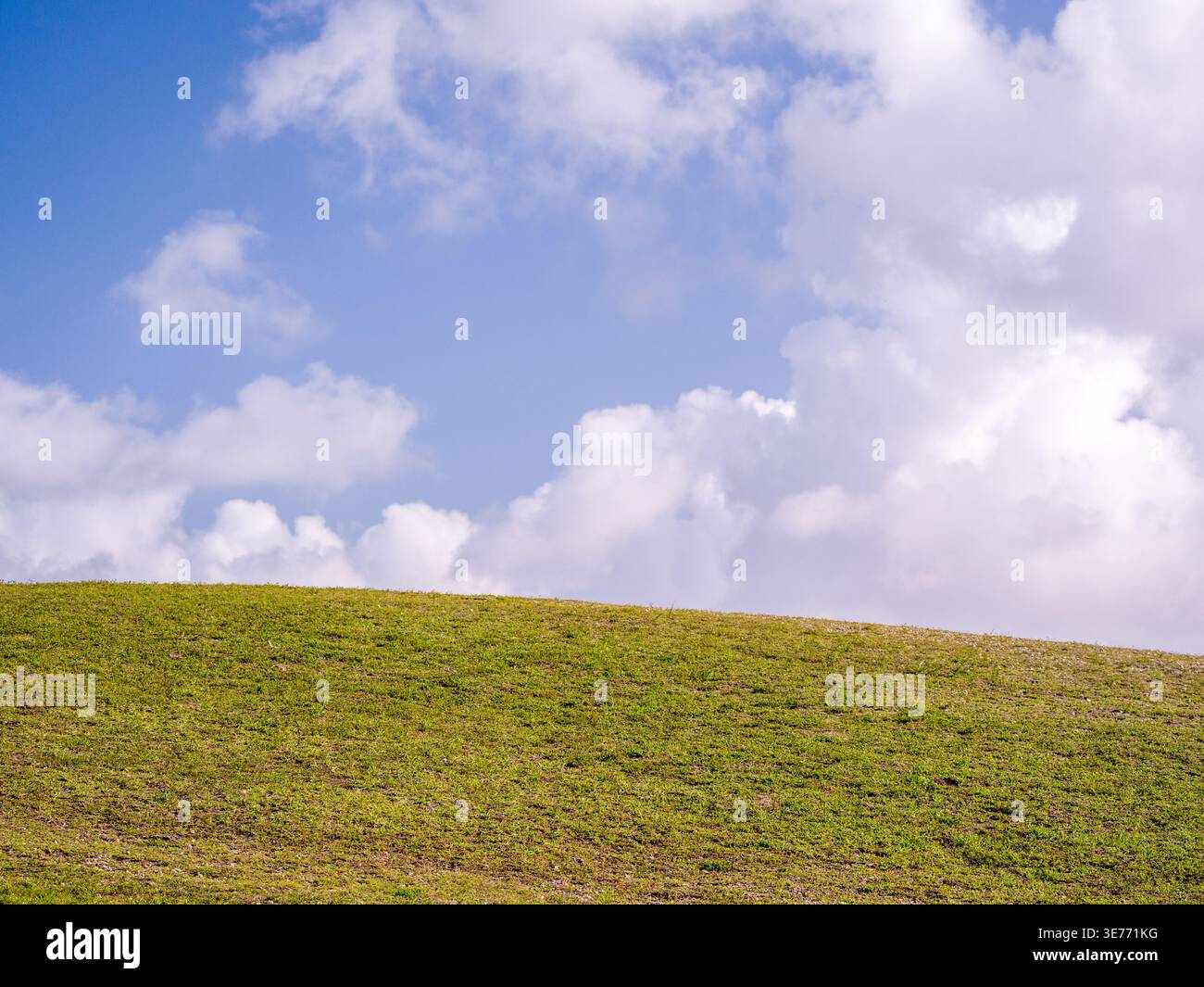 Il lussureggiante prato verde su una collina raggiunge l'orizzonte sotto un cielo nuvoloso in un parco pubblico durante il giorno. Foto Stock