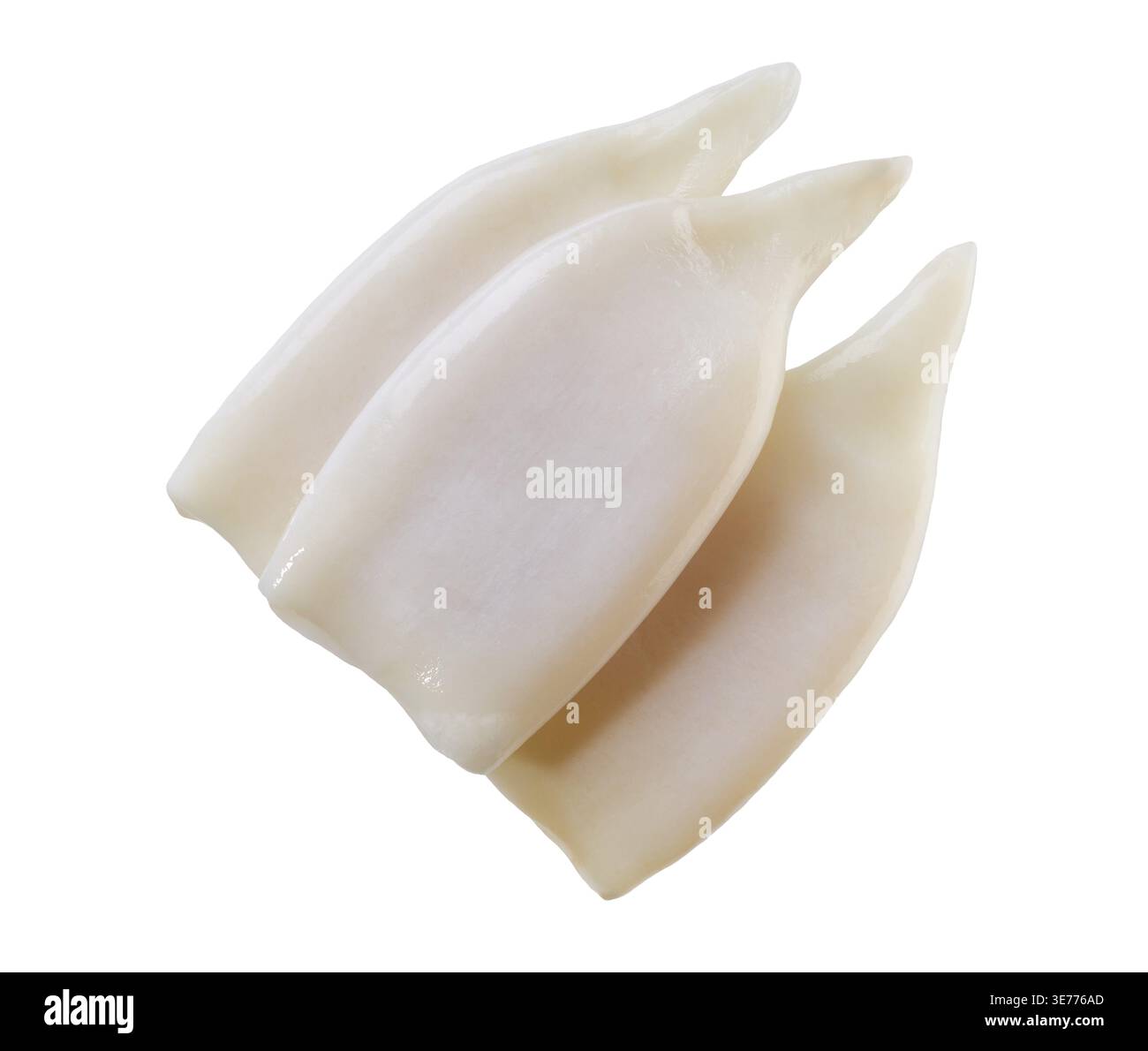 Calamari crudi freschi. Provette di calamaro isolate su sfondo bianco, vista dall'alto Foto Stock