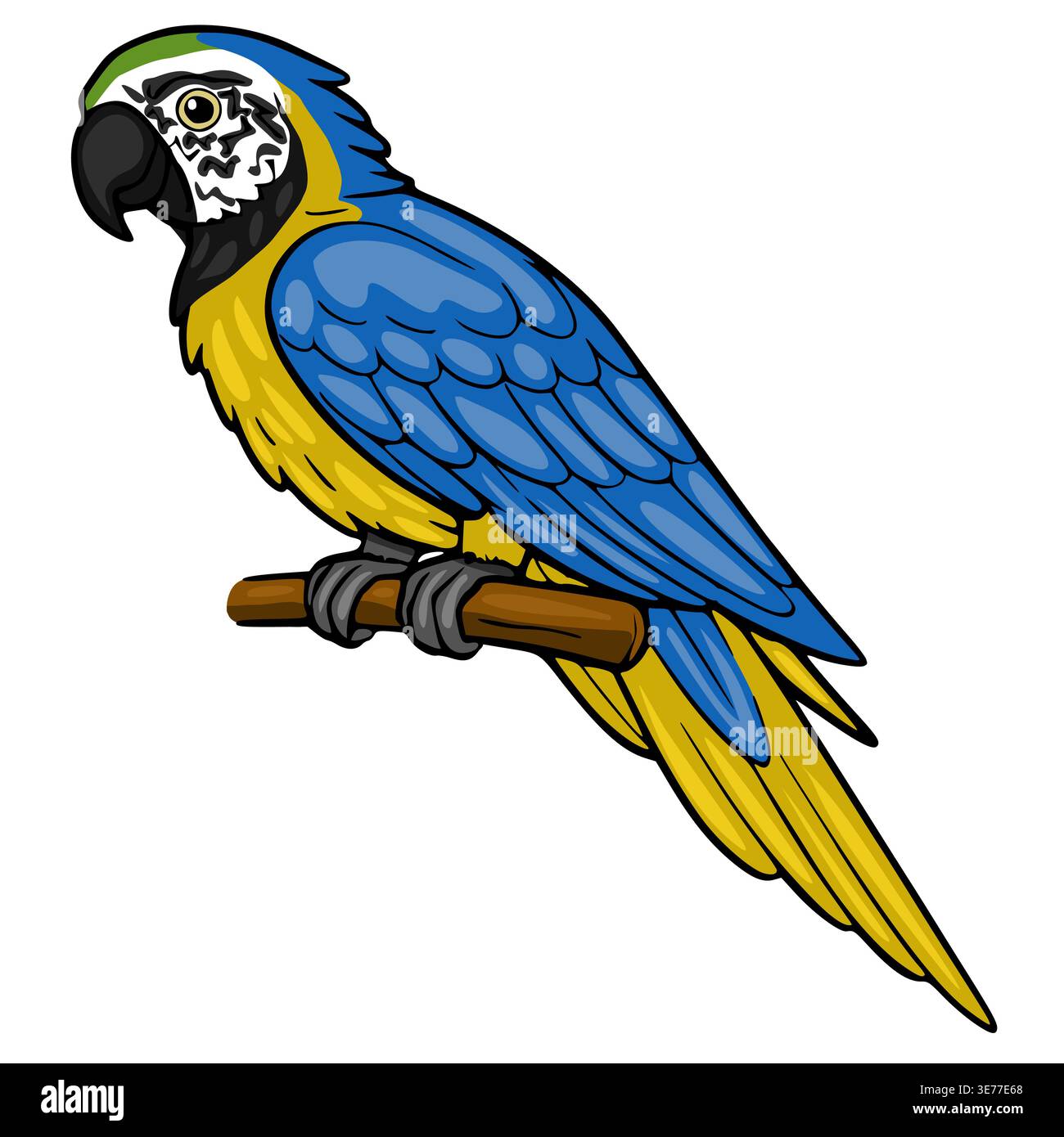 Pappagallo d'ara blu e giallo appollaiato su un ramo, illustrazione vettoriale Illustrazione Vettoriale