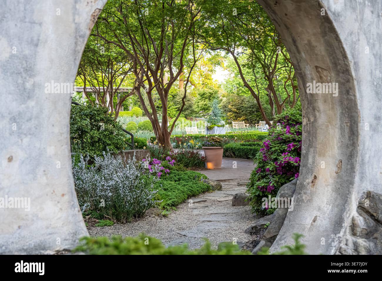 Vista del Giardino Botanico di Atlanta attraverso il cancello lunare del Giardino Cinese di Levy Parterre, giardino formale di nodo in primavera che si avvicina al tramonto. (USA) Foto Stock