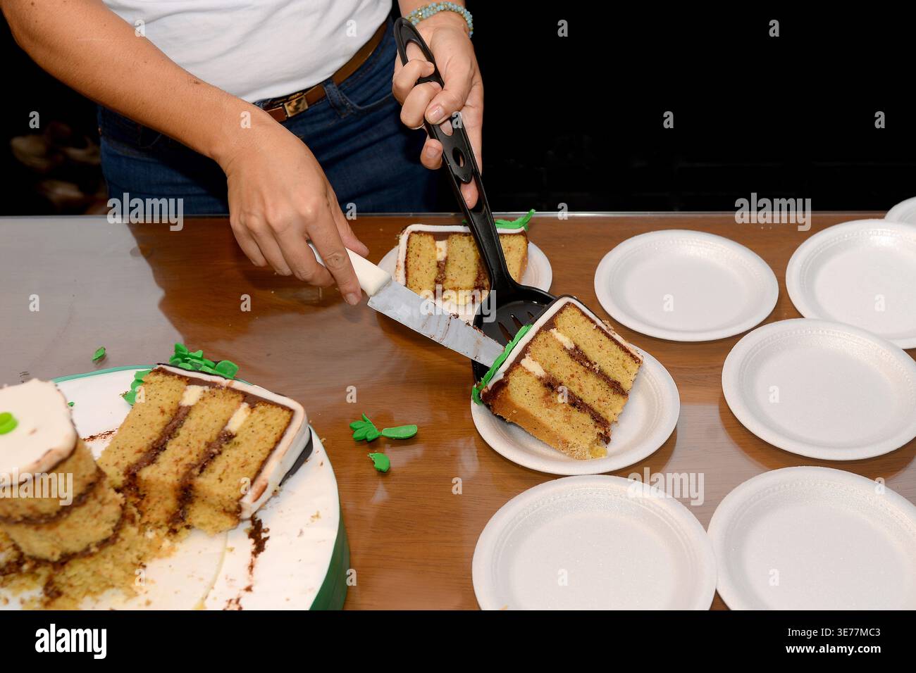 Mani che servono fette di torta a strati su piatti monouso al tavolo da festa, momento di condivisione informale del cibo Foto Stock