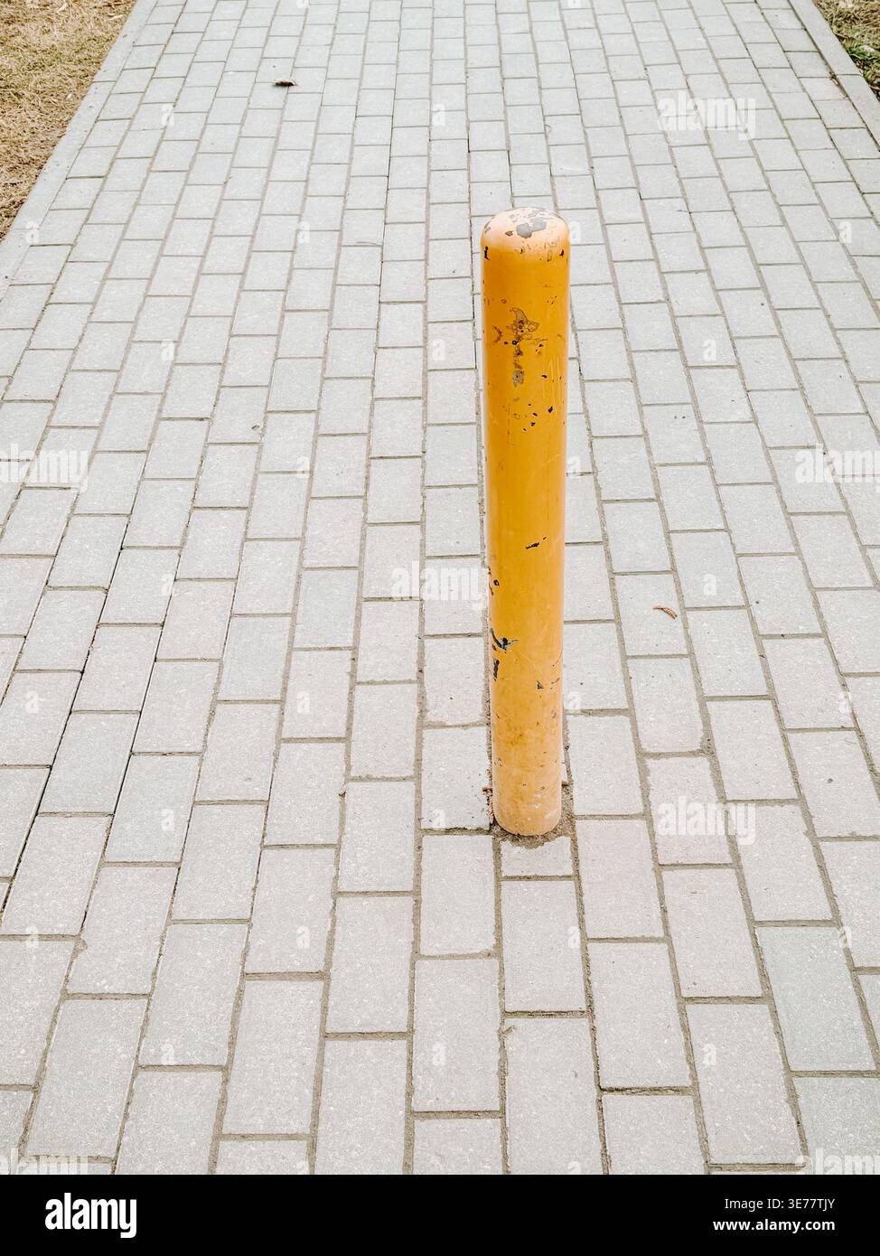 Dissuasore in metallo giallo brillante installato su un percorso pedonale pavimentato, utilizzato per limitare l'accesso al veicolo e migliorare la sicurezza. Ambientazione urbana minimalista, ideale per chi ama Foto Stock