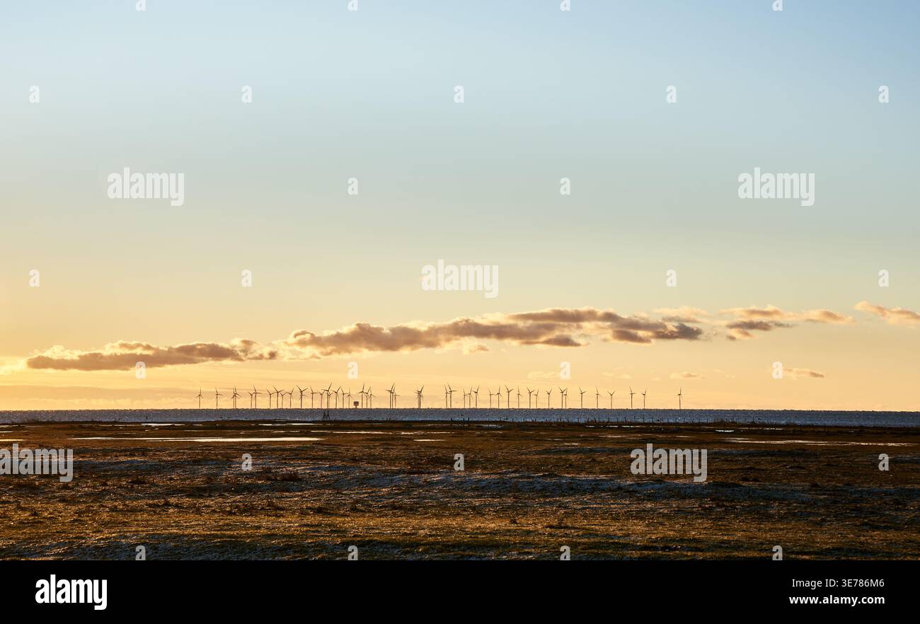 L'ora d'oro del parco eolico costiero simboleggia l'elettricità pulita, l'energia rinnovabile e il passaggio globale verso l'energia eolica sostenibile e la transizione verde Foto Stock