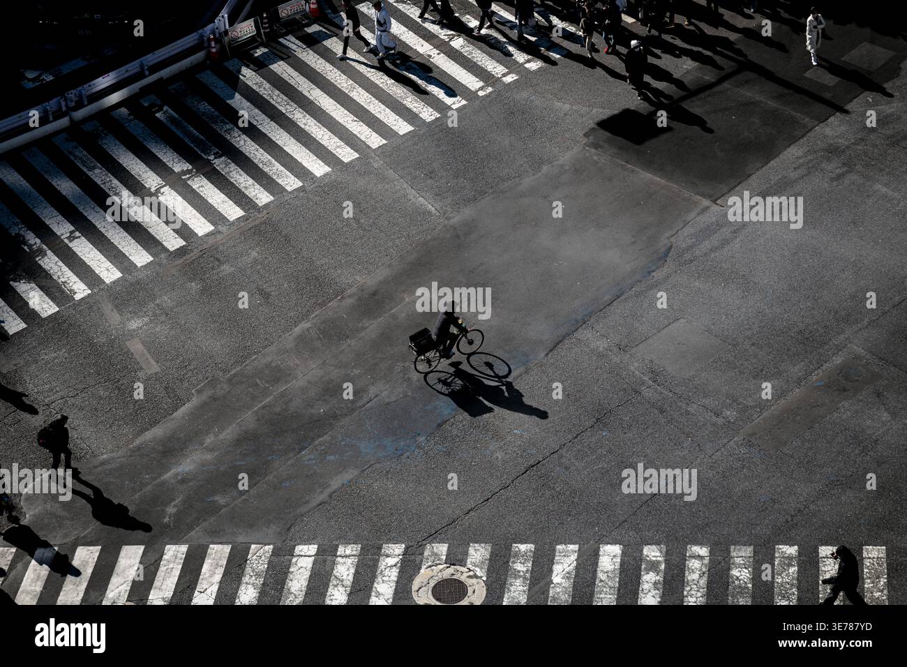 Vista dall'alto di Shibuya Crossing a Tokyo, con lunghe ombre di pedoni e un corriere di cibo in bicicletta dall'altra parte della strada Foto Stock