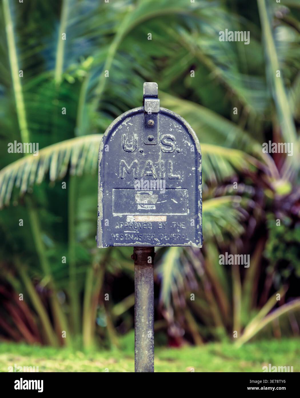 Cassetta postale vintage US mail contro le palme delle Hawaii Foto Stock