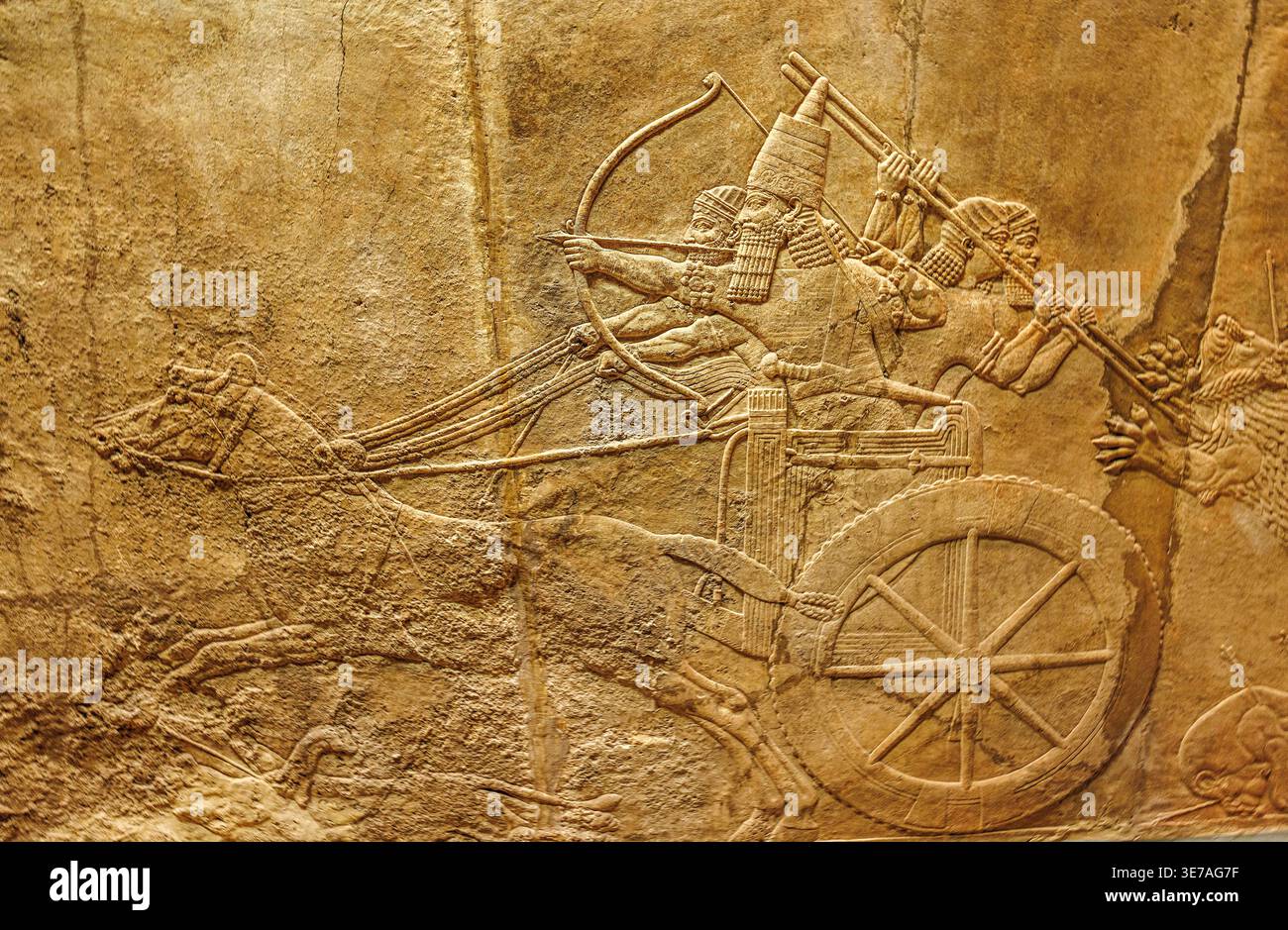 Re Assurbanipal in un carro che spara leoni con arco e freccia, Re d'Assiria, British Museum, Londra, Inghilterra, REGNO UNITO Foto Stock