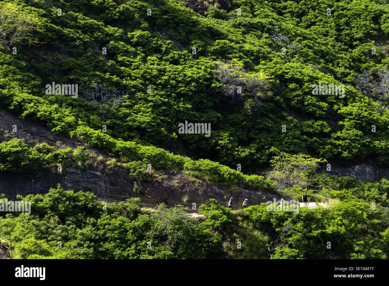 Escursionisti sulle piste del cratere Diamond Head, Honolulu, Oahu, Hawaii, Stati Uniti Foto Stock