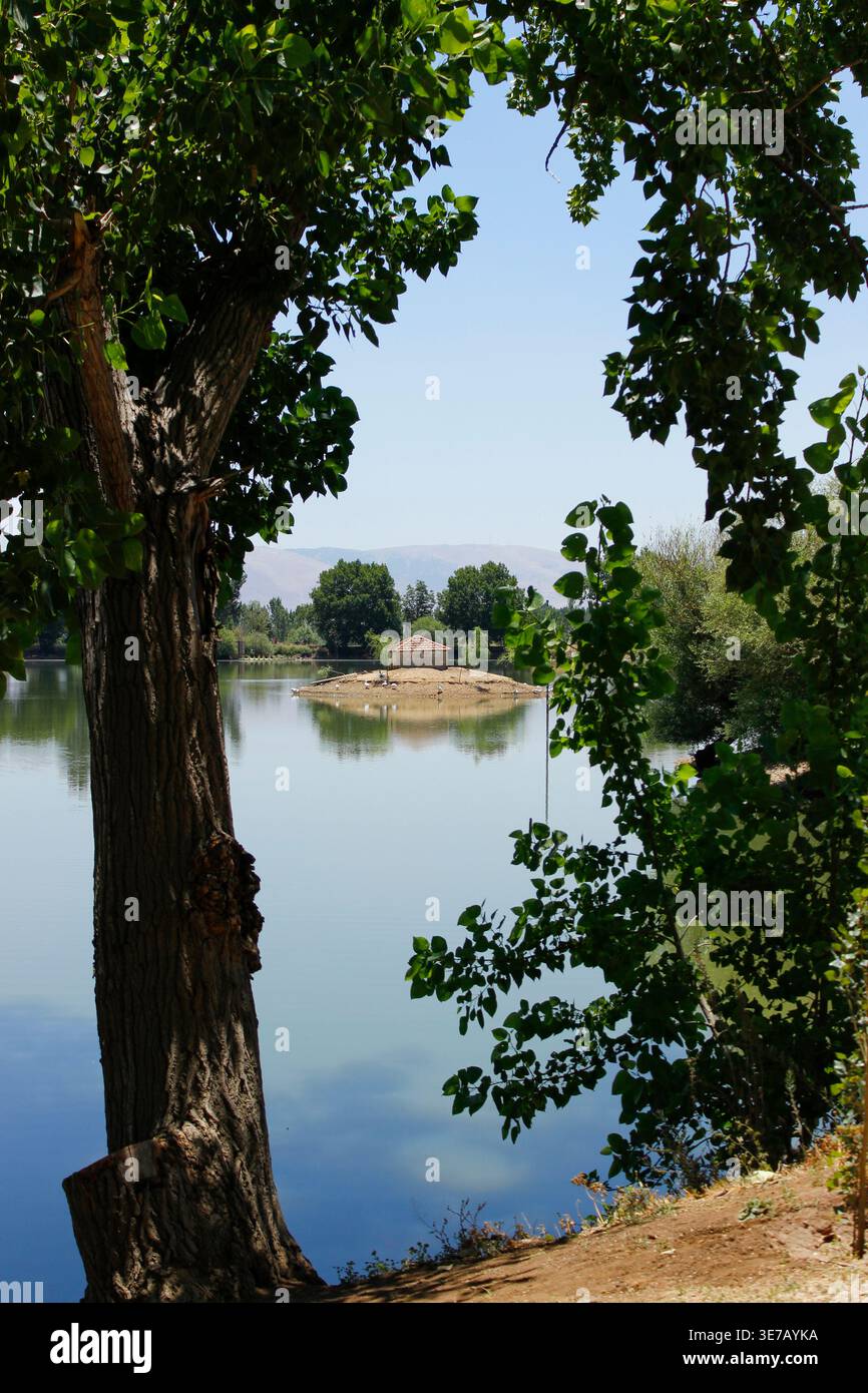 Dove ci incontriamo, un gruppo di oca si dirige verso la loro casa in mezzo al lago, dopo una lunga giornata in acqua giocando e divertendosi. Foto Stock