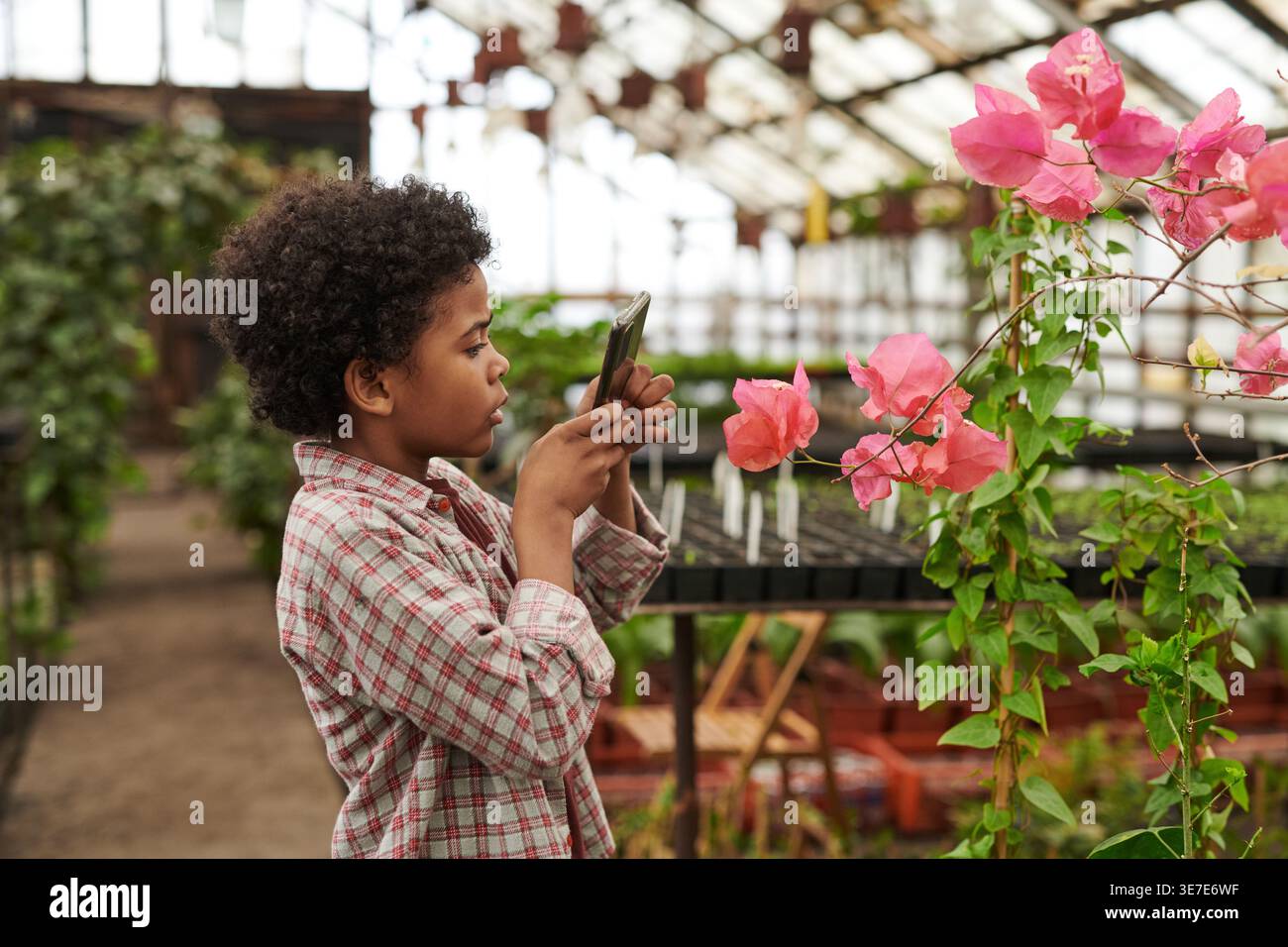 Ragazzo di corsa mista che scatta foto di fiori utilizzando lo smartphone in giardino Foto Stock