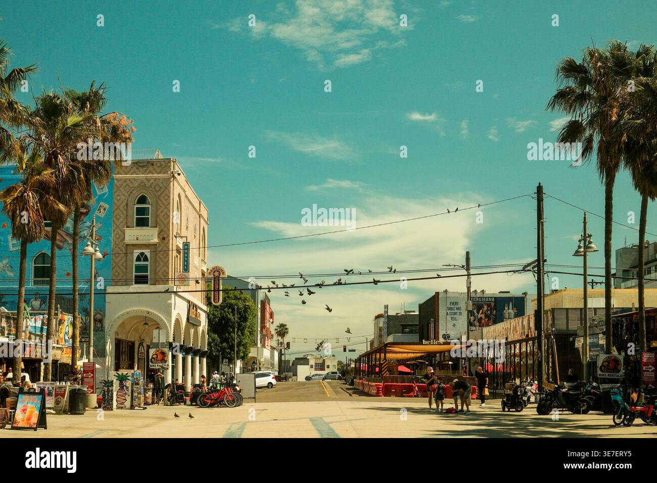 Incrocio con edifici storici e palme e uccelli a Venice Beach, Los Angeles, California, Stati Uniti Foto Stock
