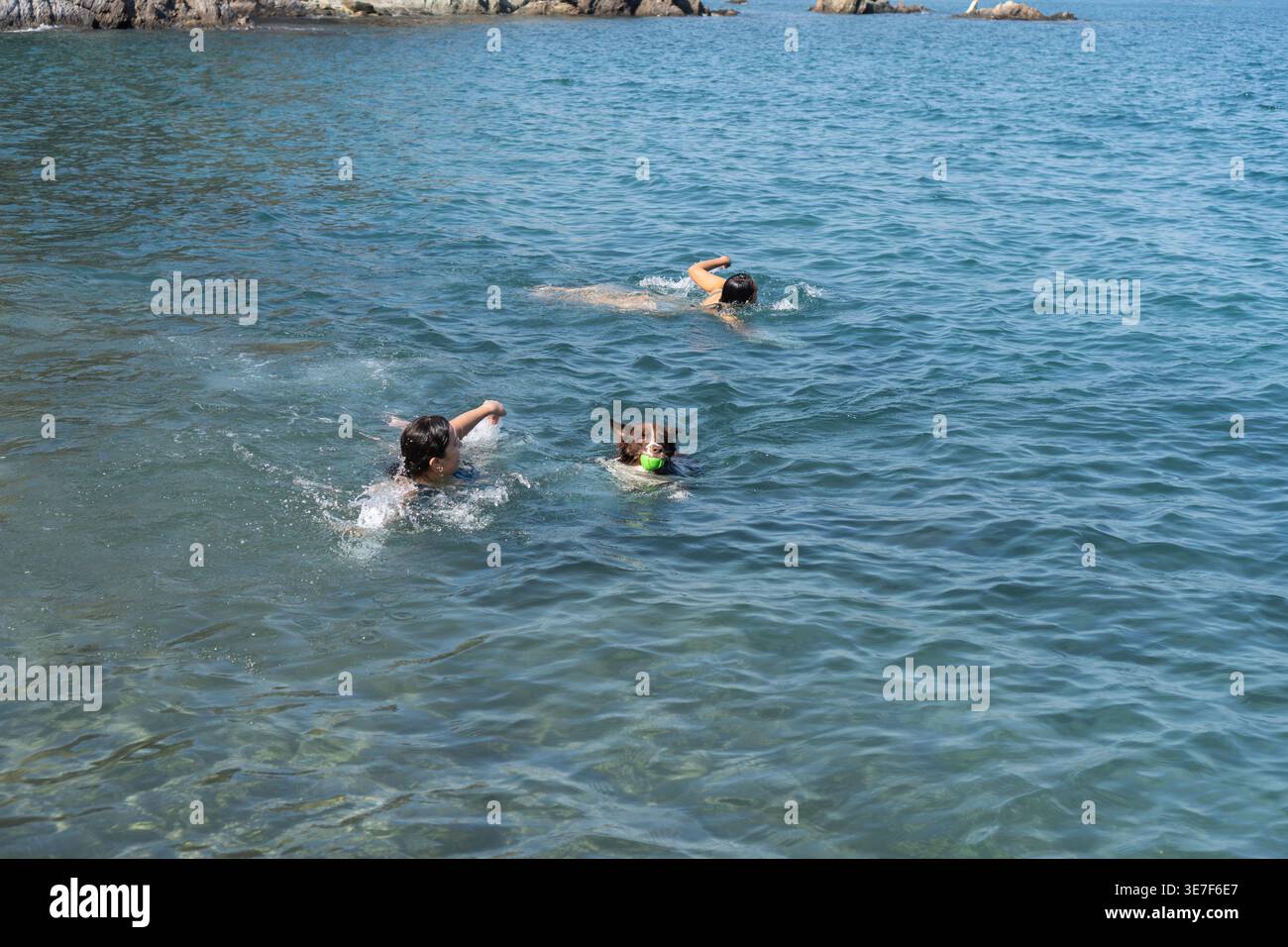 Le amiche ispaniche in bikini in bikini nuotano con il loro cane che tiene una palla in spiaggia vicino alle scogliere a dondolo nelle giornate di sole Foto Stock
