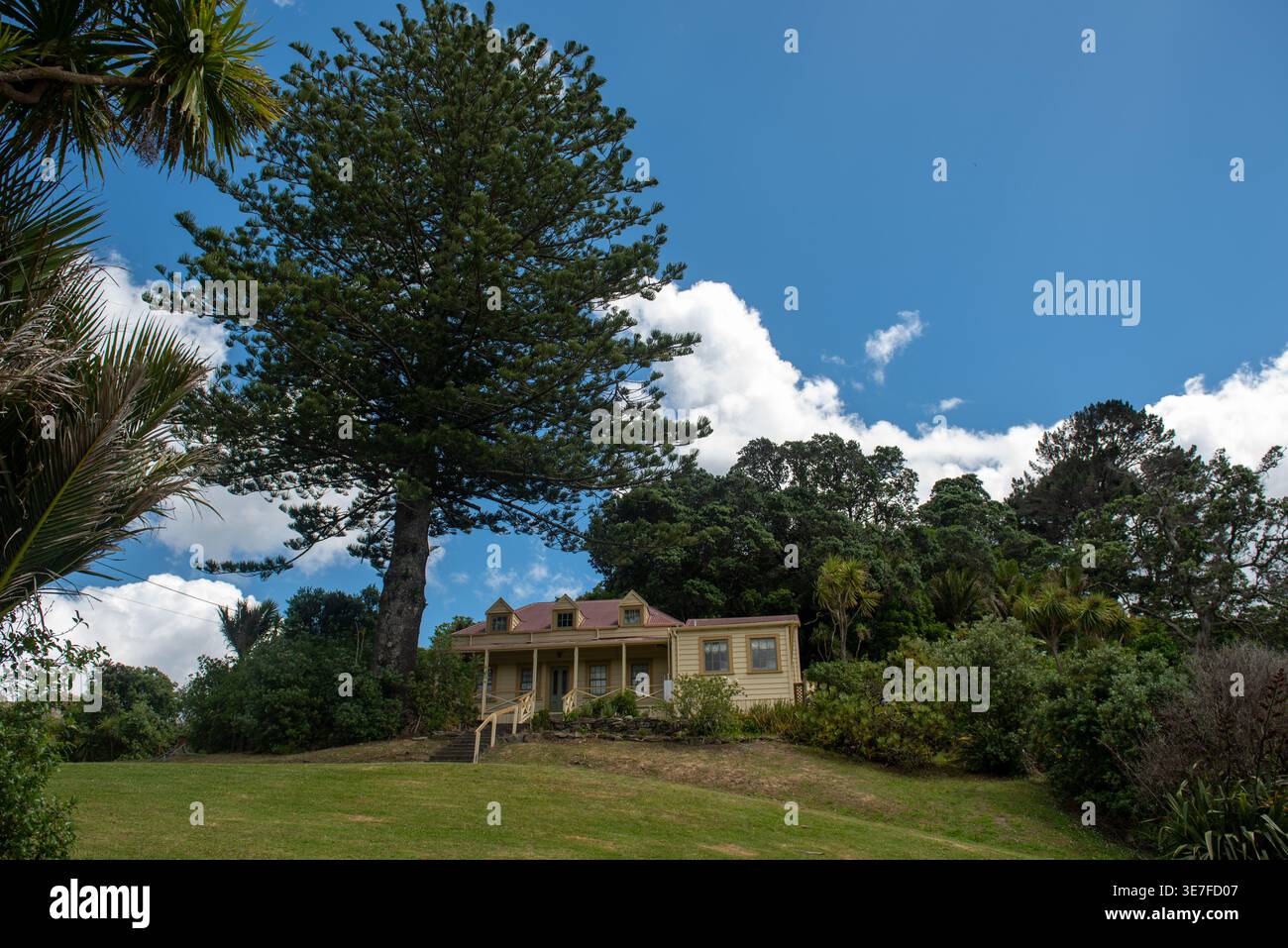 Storico cottage coloniale in legno su una collina con un massiccio albero di pino dell'Isola di Norfolk, nuova Zelanda. Foto Stock