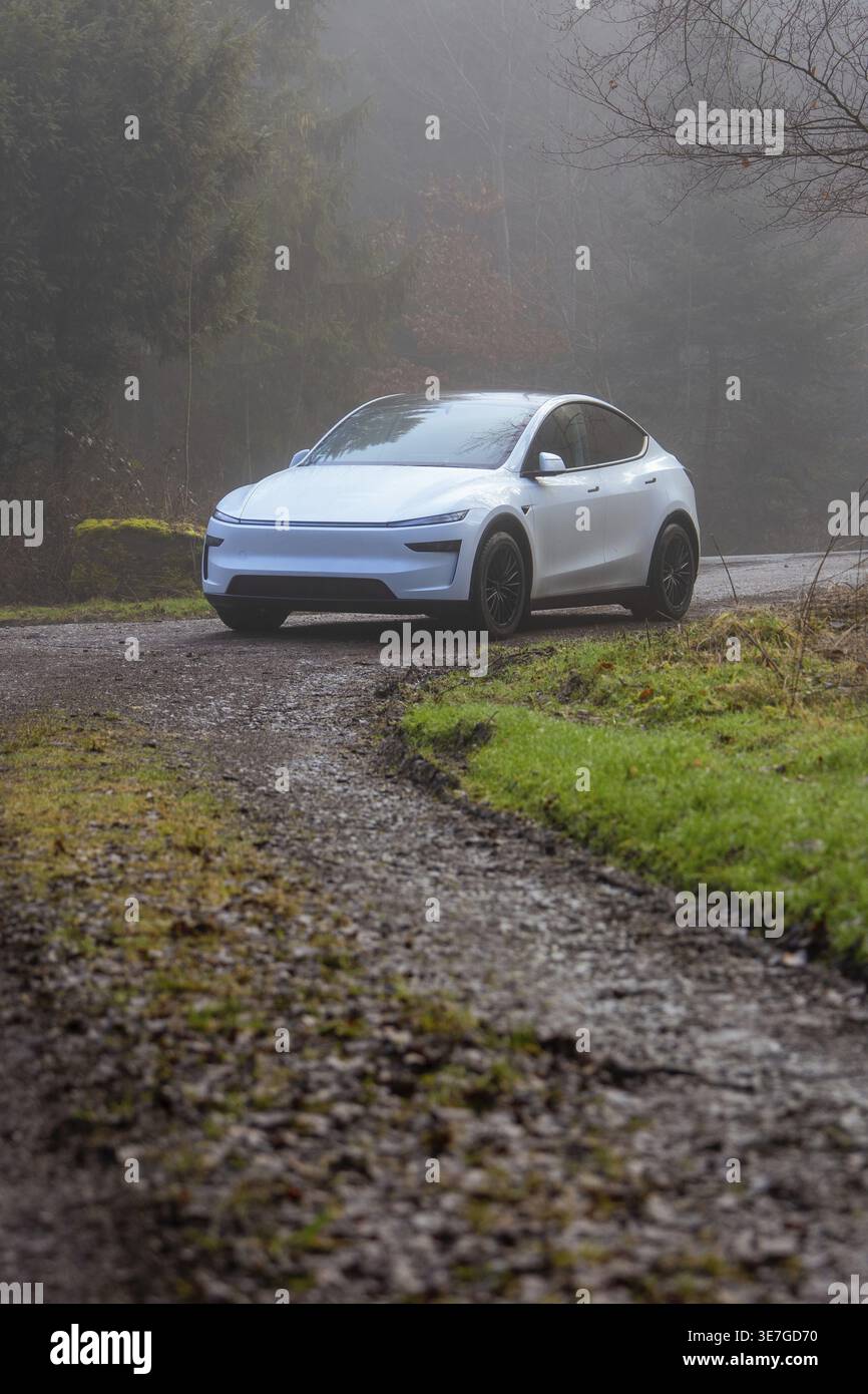 L'auto elettrica attraversa una curva su una strada forestale nebbiosa, Tesla, Leonberg, Germania Foto Stock