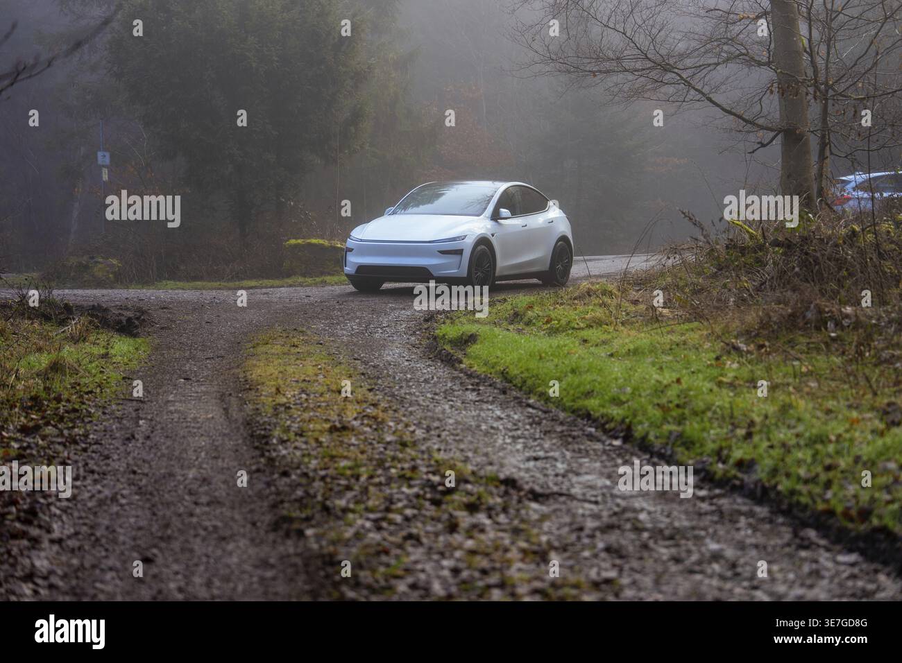 Auto elettrica su una strada nebbiosa nella foresta circondata dalla natura, Tesla, Leonberg, Germania Foto Stock