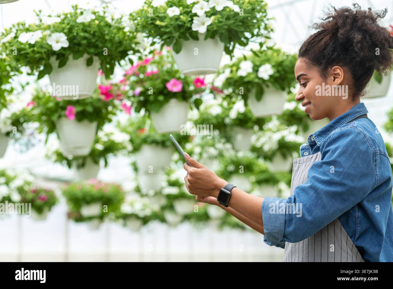Donna nera sorridente che indossa il grembiule usando il tablet mentre è in piedi in serra Foto Stock