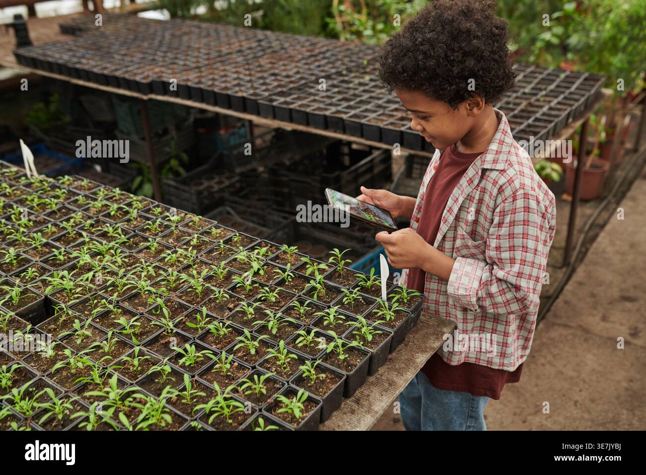 Ragazzo di corsa mista che scatta foto di piantine utilizzando uno smartphone in serra Foto Stock