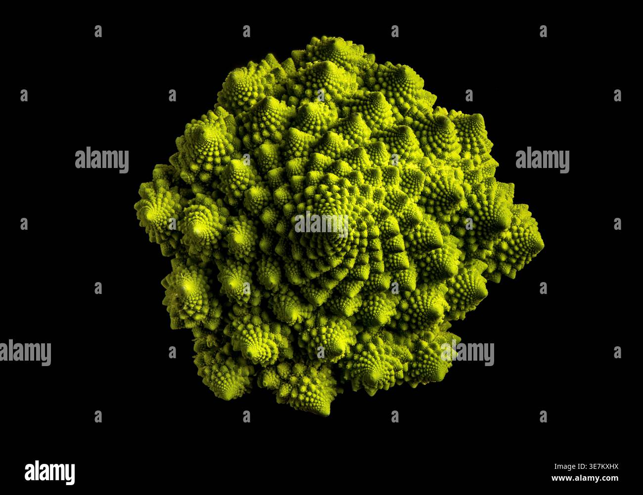 Cavolfiore Romanesco con spirali Fibonacci e frattali naturali, isolati sul nero. Perfetto per scienza, matematica, cibo sano e conce organiche Foto Stock