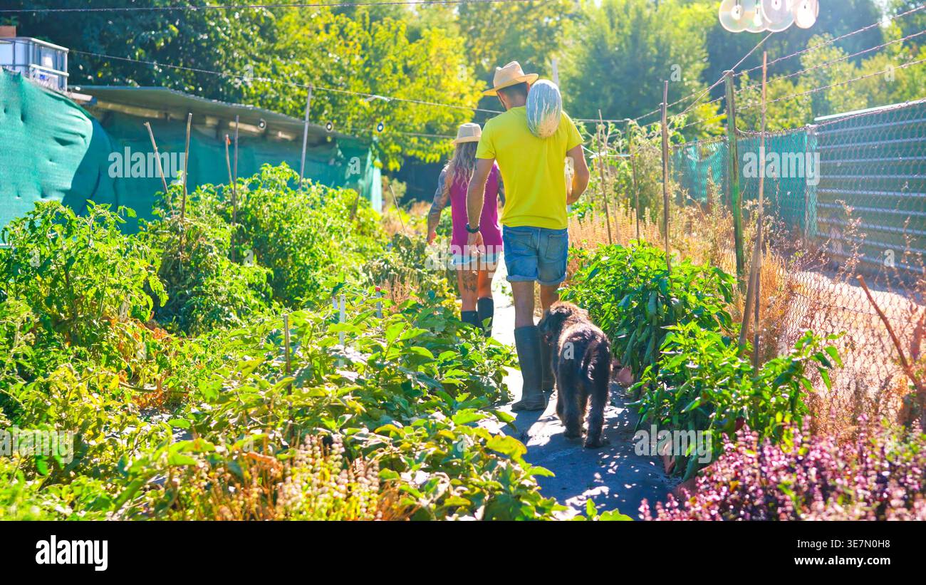 La coppia e il cane camminano nel giardino della comunità nelle giornate di sole Foto Stock