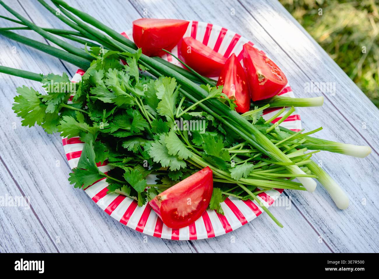 Un piatto con verdure ed erbe aromatiche su un tavolo in un giardino in natura, per preparare un picnic. Foto Stock