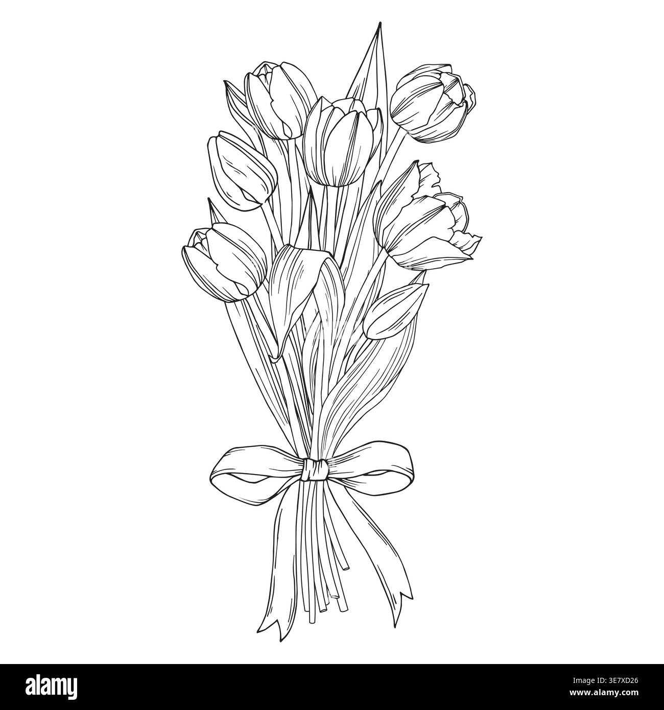 Bouquet di tulipani con disegno a fiocco, vettoriale floreale isolato su bianco Illustrazione Vettoriale