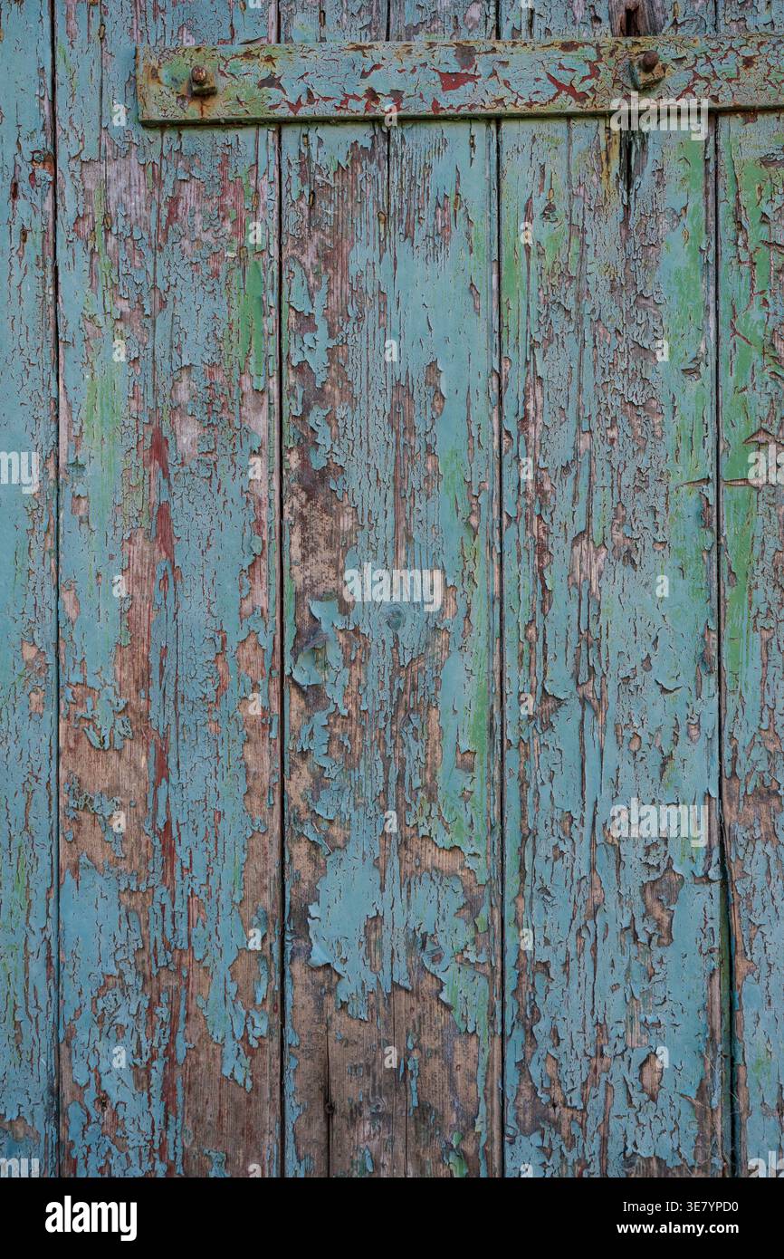 Primo piano di tavole di legno invecchiate con vernice turchese e verde sbucciate, che rivelano il legno intemprato sottostante Foto Stock