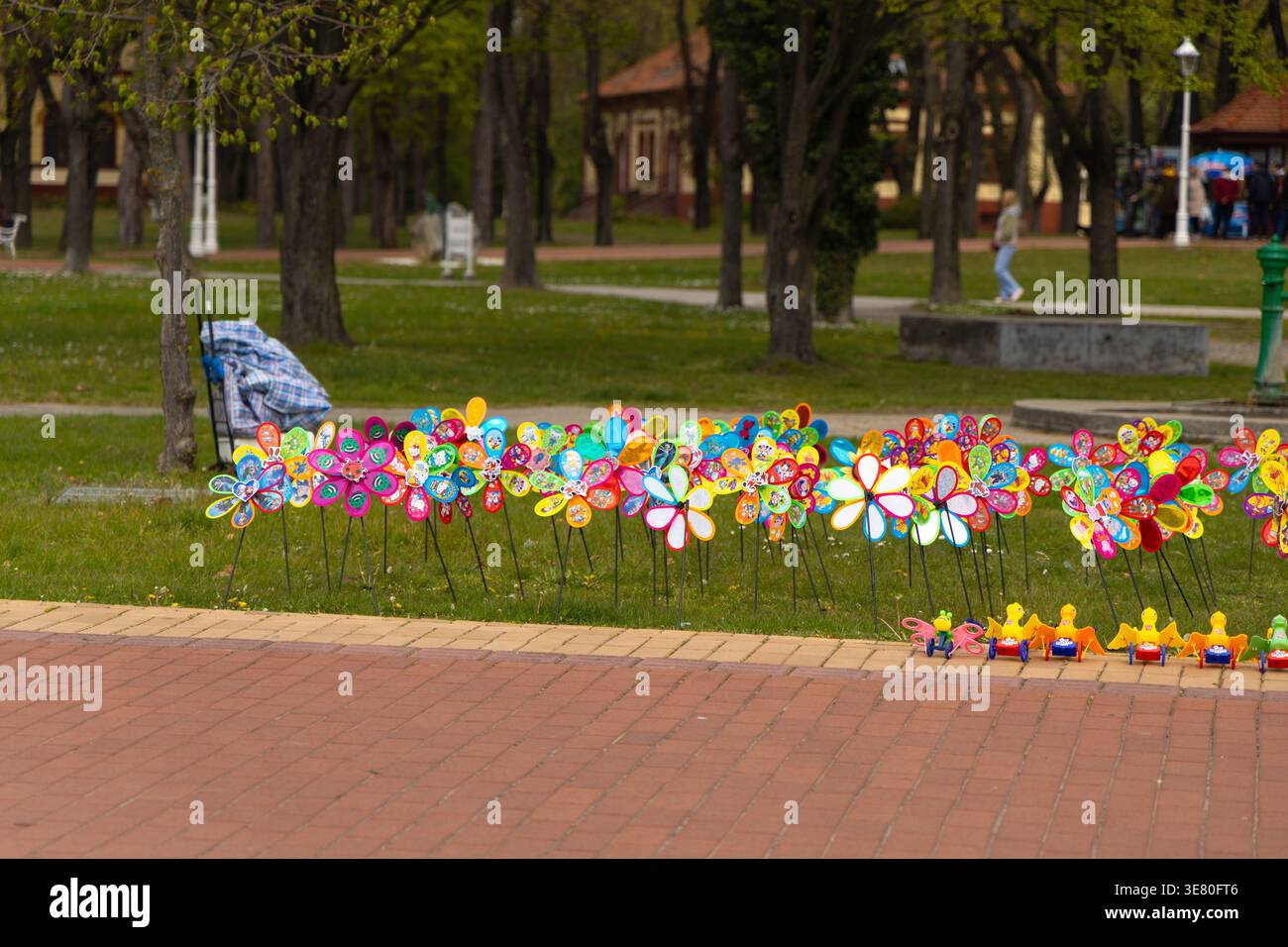 Fiori colorati della ruota panoramica esposti lungo il percorso del parco Foto Stock