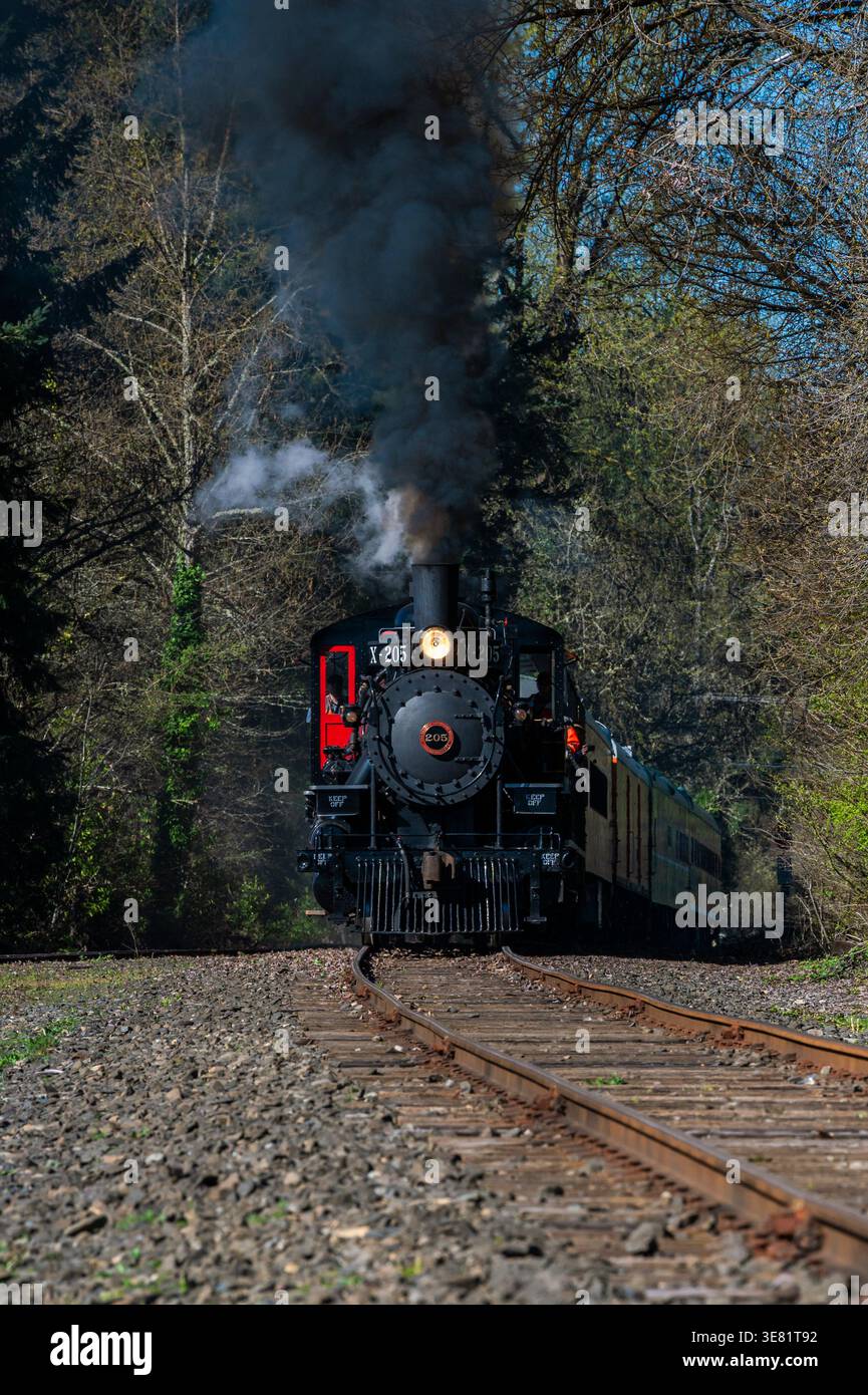 Il motore a vapore ruba attraverso i cingoli forestali. Il fumo si arriccia verso l'alto contro un cielo blu limpido. Il treno si avvicina con un movimento costante e potente. Via Railroad Ties Foto Stock