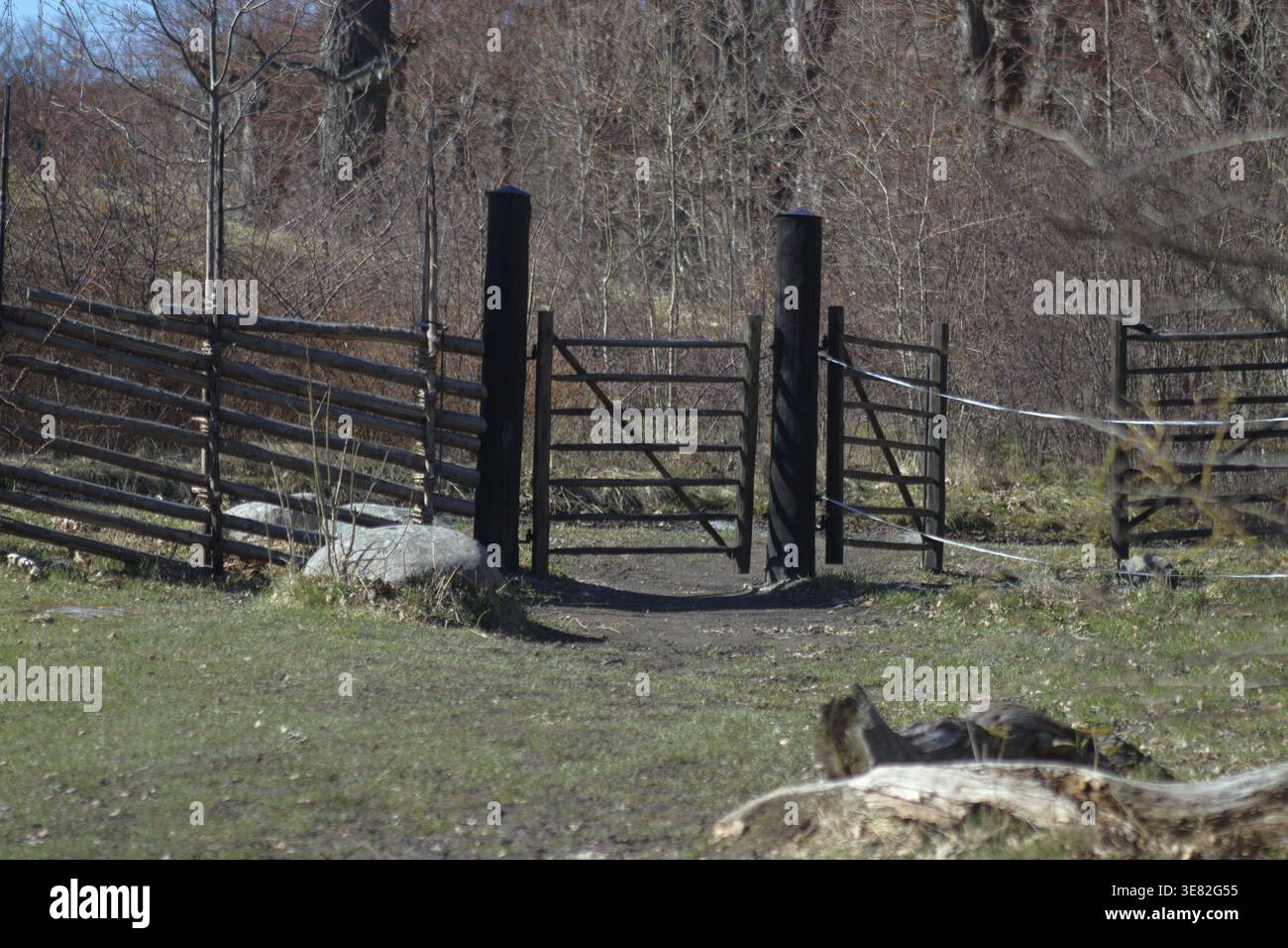 Cancello in una vecchia recinzione di legno su Hustegaholm, sull'isola di Lidingö in Svezia Foto Stock