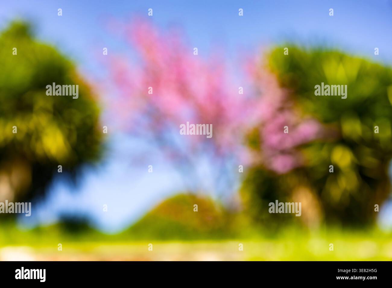 Colori pastello da sogno in natura. Foto Stock