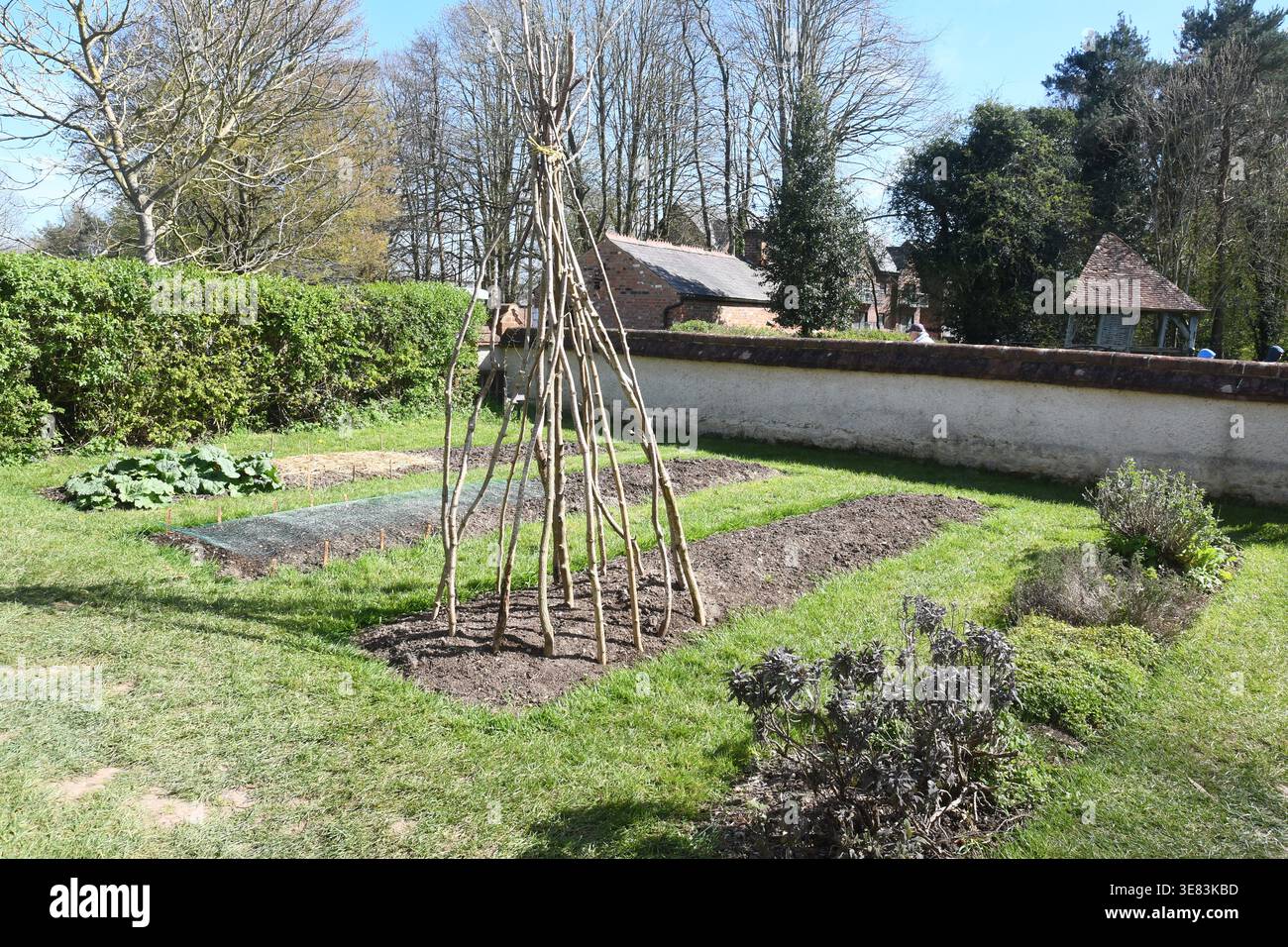 Giardino all'esterno dell'Haddenham Cottage, residenza vittoriana presso il Chiltern Open Air Museum, Chalfont St Giles, Buckinghamshire, Regno Unito Foto Stock