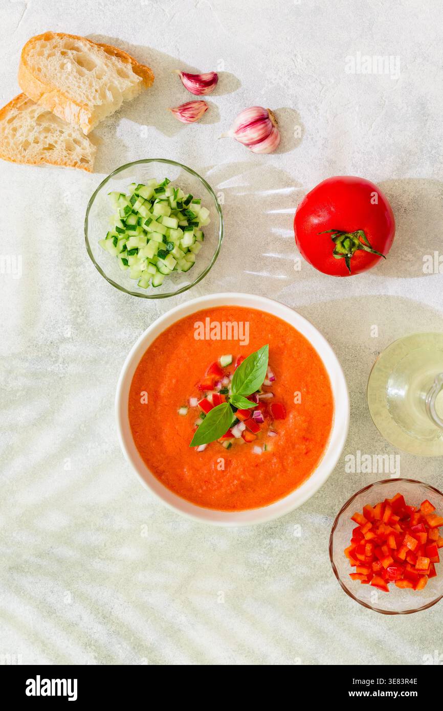 Zuppa di gazpacho. Tradizionale zuppa di pomodoro fredda spagnola di verdure fresche crude, vista dall'alto. Foto Stock