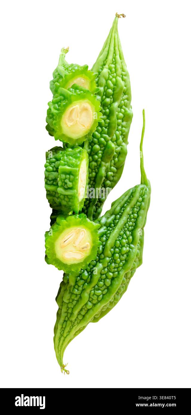 La vista laterale del gourd amaro verde o del melone amaro con fette a forma circolare in pila piccola è isolata su sfondo bianco con percorso di ritaglio. Foto Stock