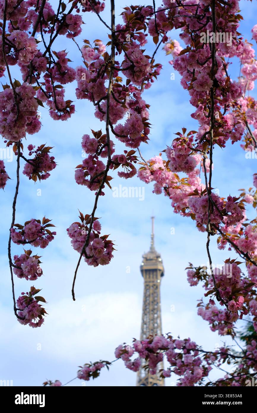 Torre Eiffel circondata da fiori Foto Stock