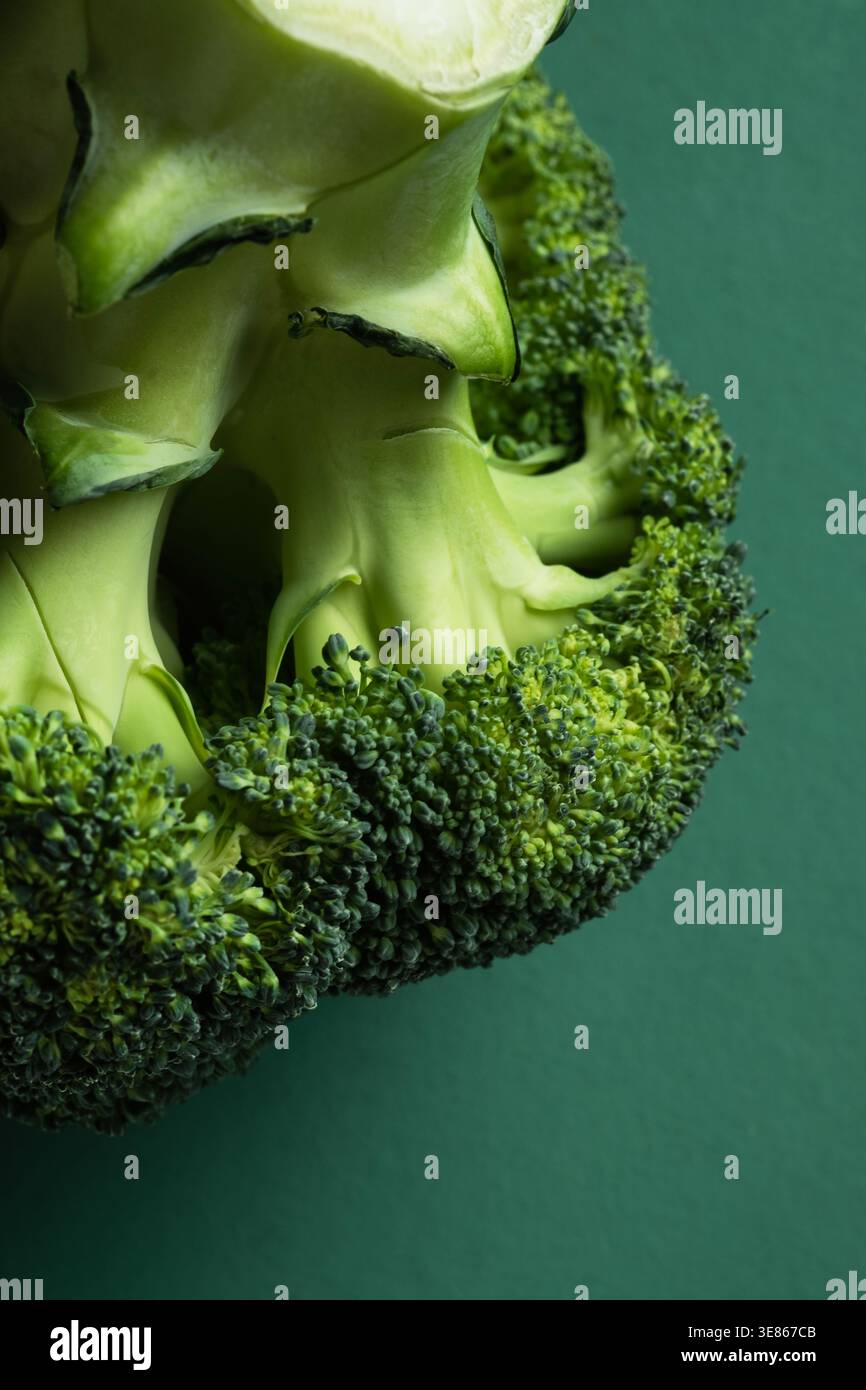 Macro primo piano di una corona di broccoli freschi che mostra fiori freschi e consistenza pallida dello stelo su sfondo verde scuro, ideale per cibi sani, cucina vegana, Foto Stock