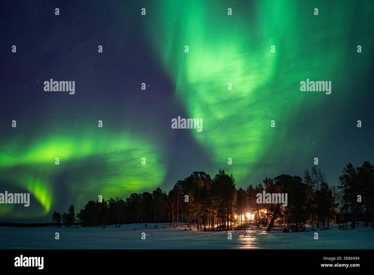l'aurora boreale verde danzerà attraverso un cielo stellato notturno sopra una foresta di pini innevati e una cabina luminosa, creando un tranquillo paesaggio invernale in Fi Foto Stock