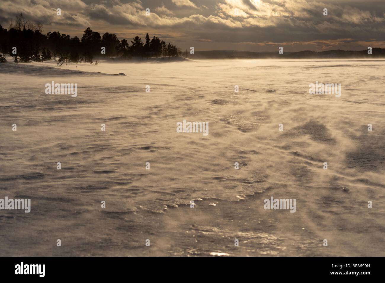 I venti attraversano una riva ghiacciata del lago in Finlandia, sollevando la neve polverosa in onde alla deriva sotto un cielo spettacolare al tramonto, con sagome scure della foresta Foto Stock