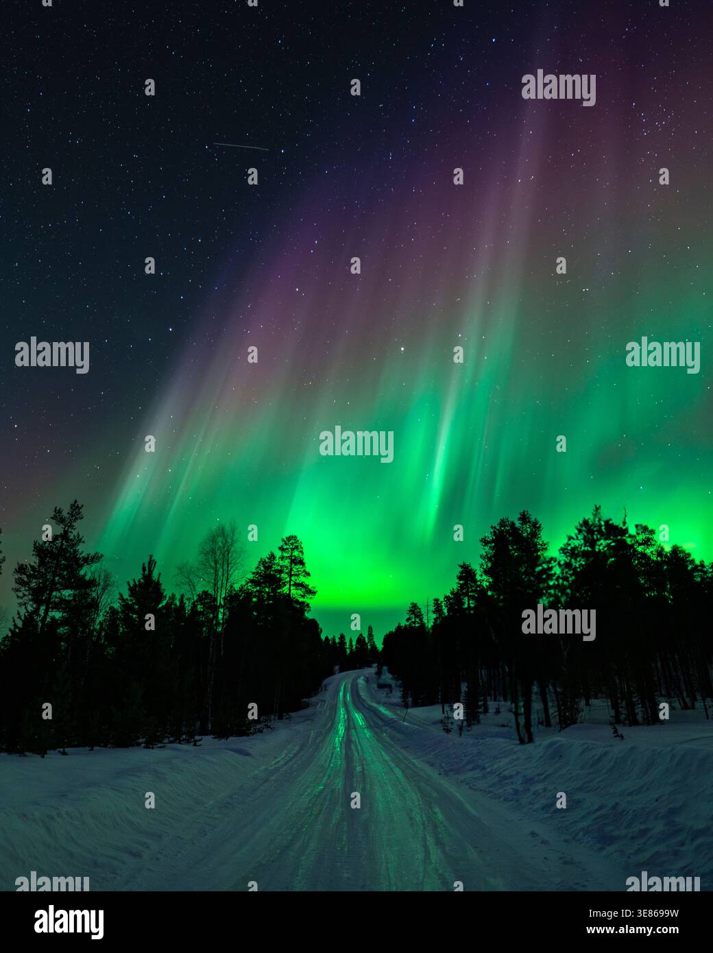 l'aurora boreale, verde brillante e viola, danzano sopra una strada innevata nella foresta finlandese, con cielo stellato invernale e sagome di pino scuro che creano un'atmosfera unica Foto Stock