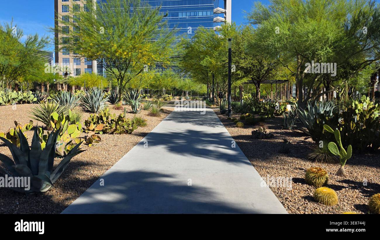 Percorso del parco urbano nel deserto con giardino dei cactus. Passerella in cemento attraverso un parco paesaggistico nel deserto con cactus, piante di agave e alberi accanto a un ufficio moderno Foto Stock