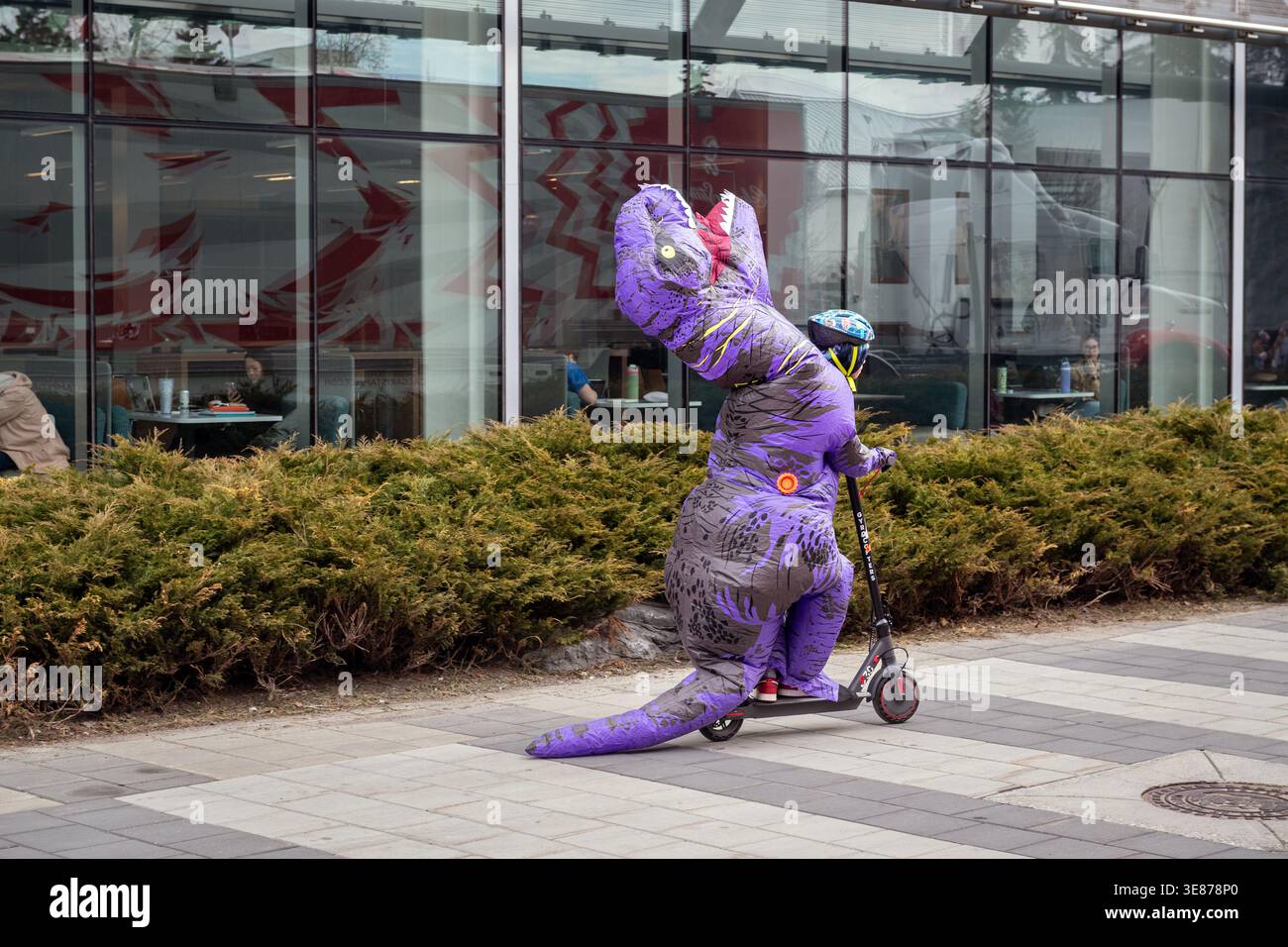 Ragazzo con costume da dinosauro gonfiabile su uno scooter all'evento Jurassic Jamboree New Guinness World record dell'Università di Calgary Rex, Alberta Canada Foto Stock