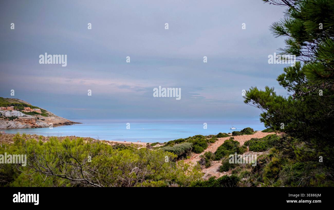 Paesaggio marino con piante verdi in primo piano Foto Stock
