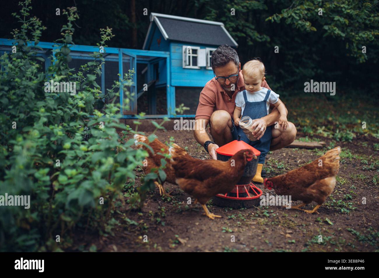 Padre e bambino che danno da mangiare ai polli nel giardino del cortile. Foto Stock