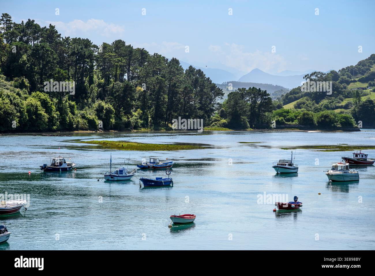 Guardando nell'entroterra dal Brazo Mayor, parte del torrente mareale del fiume Escudo a San Vicente de la Barquera, parte del Parque Natural de Oyambre, Foto Stock
